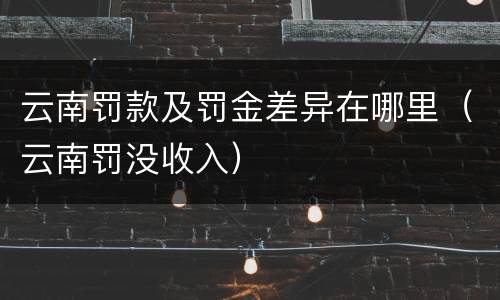 云南罚款及罚金差异在哪里（云南罚没收入）