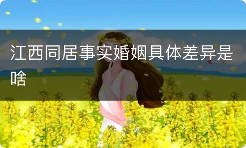 江西同居事实婚姻具体差异是啥