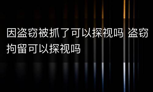 因盗窃被抓了可以探视吗 盗窃拘留可以探视吗