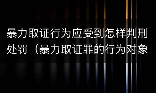 暴力取证行为应受到怎样判刑处罚（暴力取证罪的行为对象）