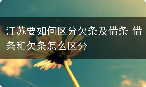 江苏要如何区分欠条及借条 借条和欠条怎么区分