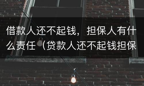 借款人还不起钱，担保人有什么责任（贷款人还不起钱担保人有啥责任）
