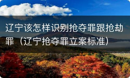 辽宁该怎样识别抢夺罪跟抢劫罪（辽宁抢夺罪立案标准）