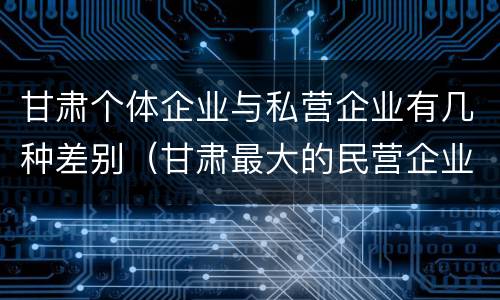甘肃个体企业与私营企业有几种差别（甘肃最大的民营企业）