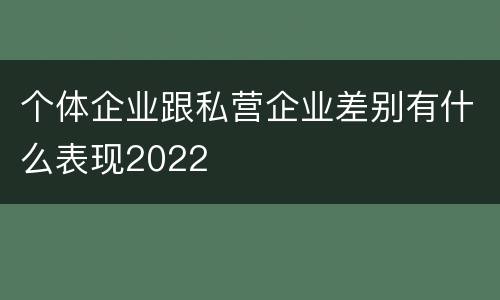 个体企业跟私营企业差别有什么表现2022