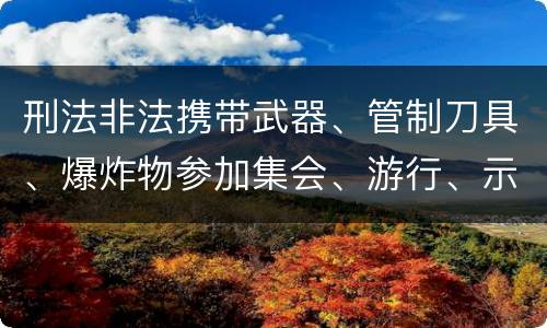 刑法非法携带武器、管制刀具、爆炸物参加集会、游行、示威罪构成要件