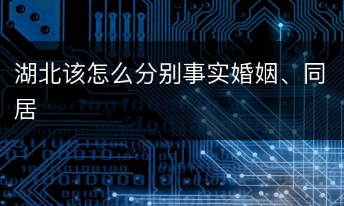 湖北该怎么分别事实婚姻、同居