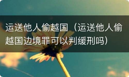 运送他人偷越国（运送他人偷越国边境罪可以判缓刑吗）