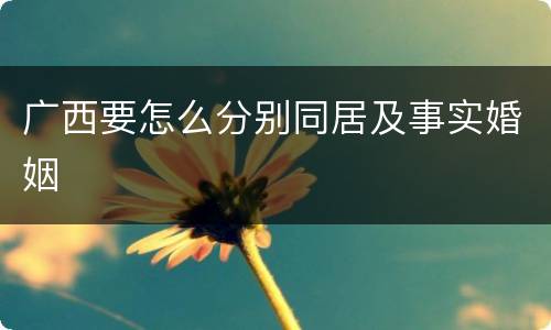 广西要怎么分别同居及事实婚姻