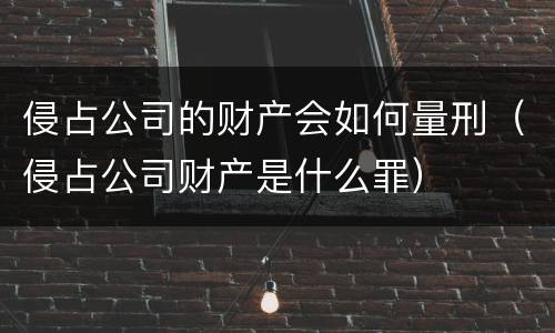 侵占公司的财产会如何量刑（侵占公司财产是什么罪）