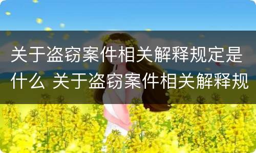 关于盗窃案件相关解释规定是什么 关于盗窃案件相关解释规定是什么法律