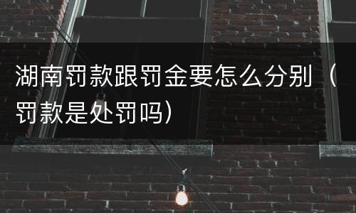 湖南罚款跟罚金要怎么分别（罚款是处罚吗）