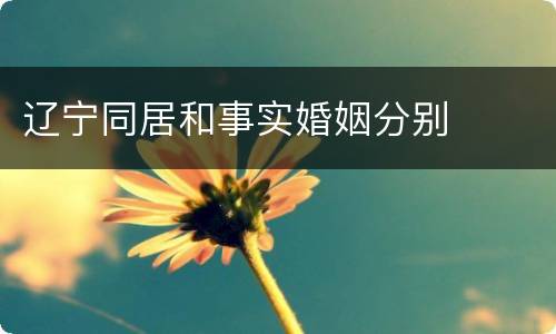 辽宁同居和事实婚姻分别