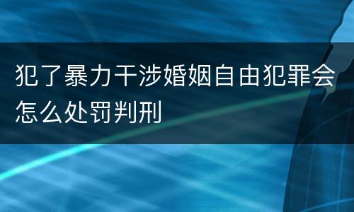 犯了暴力干涉婚姻自由犯罪会怎么处罚判刑