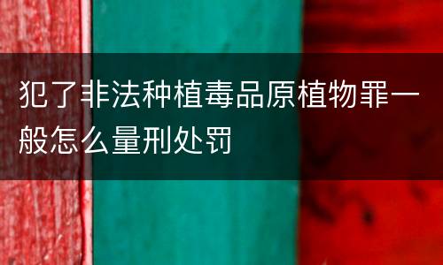 犯了非法种植毒品原植物罪一般怎么量刑处罚