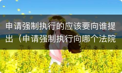 申请强制执行的应该要向谁提出（申请强制执行向哪个法院提出）