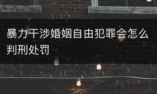 暴力干涉婚姻自由犯罪会怎么判刑处罚