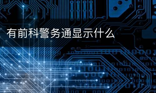 有前科警务通显示什么