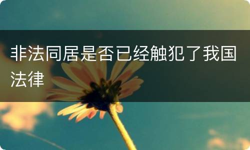 非法同居是否已经触犯了我国法律