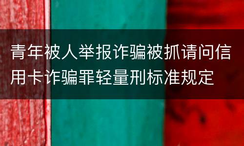 青年被人举报诈骗被抓请问信用卡诈骗罪轻量刑标准规定
