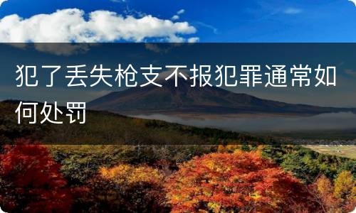犯了丢失枪支不报犯罪通常如何处罚