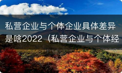私营企业与个体企业具体差异是啥2022（私营企业与个体经营企业的区别）