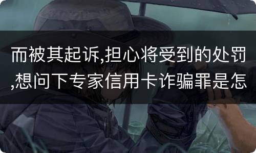 而被其起诉,担心将受到的处罚,想问下专家信用卡诈骗罪是怎样判罚的