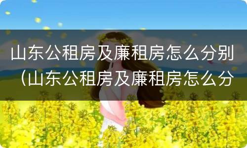 山东公租房及廉租房怎么分别（山东公租房及廉租房怎么分别摇号）