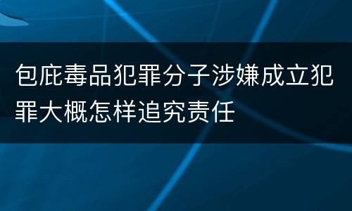包庇毒品犯罪分子涉嫌成立犯罪大概怎样追究责任