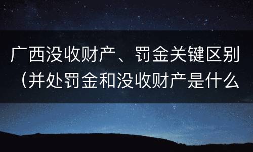 广西没收财产、罚金关键区别（并处罚金和没收财产是什么意思）