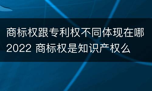商标权跟专利权不同体现在哪2022 商标权是知识产权么