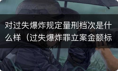 对过失爆炸规定量刑档次是什么样（过失爆炸罪立案金额标准）