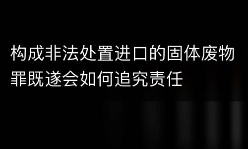 构成非法处置进口的固体废物罪既遂会如何追究责任