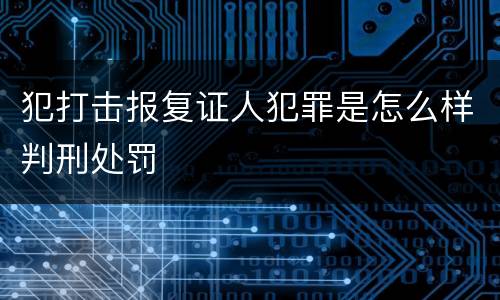 犯打击报复证人犯罪是怎么样判刑处罚