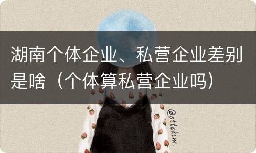 湖南个体企业、私营企业差别是啥（个体算私营企业吗）