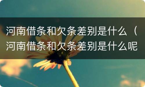 河南借条和欠条差别是什么（河南借条和欠条差别是什么呢）