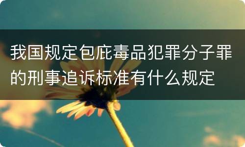 我国规定包庇毒品犯罪分子罪的刑事追诉标准有什么规定