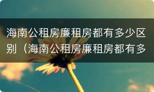 海南公租房廉租房都有多少区别（海南公租房廉租房都有多少区别啊）