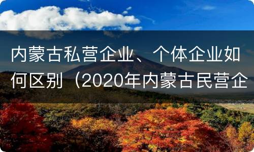 内蒙古私营企业、个体企业如何区别（2020年内蒙古民营企业）