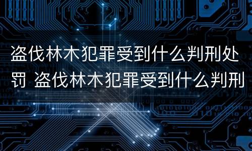 盗伐林木犯罪受到什么判刑处罚 盗伐林木犯罪受到什么判刑处罚呢