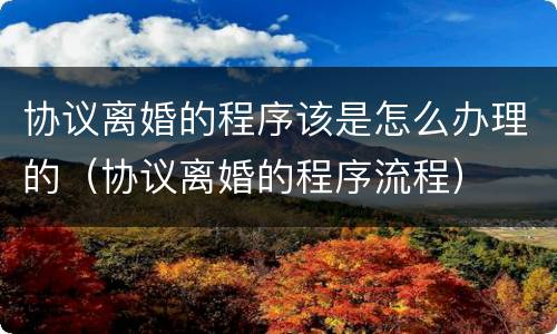 协议离婚的程序该是怎么办理的（协议离婚的程序流程）