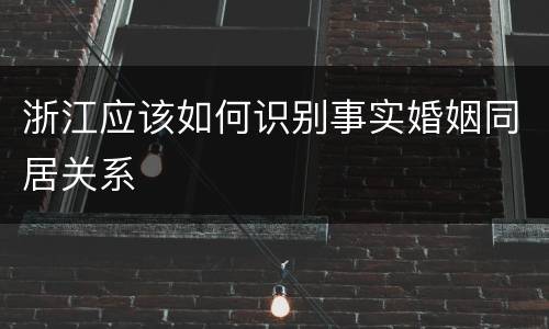 浙江应该如何识别事实婚姻同居关系