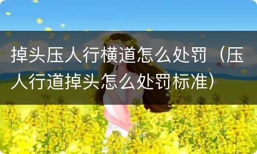 掉头压人行横道怎么处罚（压人行道掉头怎么处罚标准）