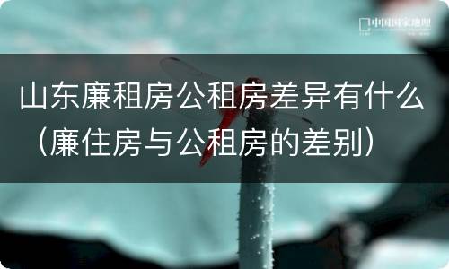 山东廉租房公租房差异有什么（廉住房与公租房的差别）