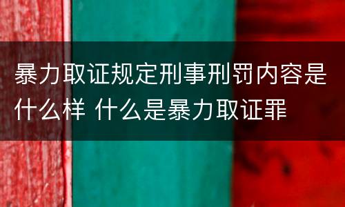 暴力取证规定刑事刑罚内容是什么样 什么是暴力取证罪
