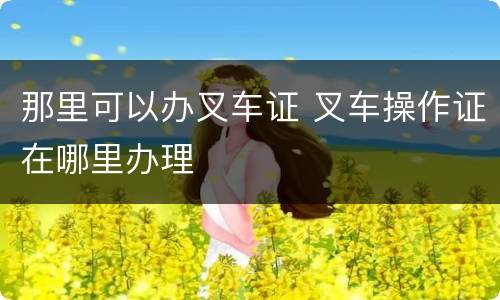 那里可以办叉车证 叉车操作证在哪里办理