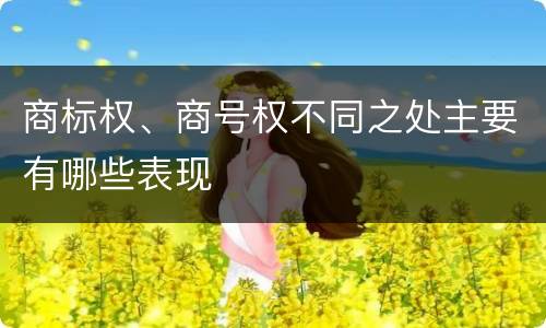 商标权、商号权不同之处主要有哪些表现