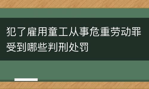 犯了雇用童工从事危重劳动罪受到哪些判刑处罚