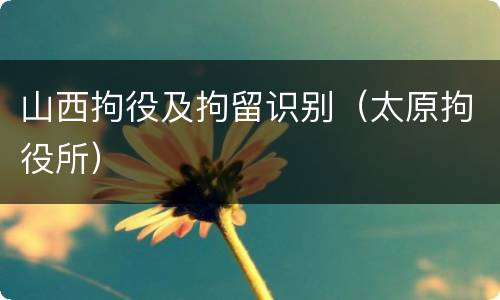 山西拘役及拘留识别（太原拘役所）