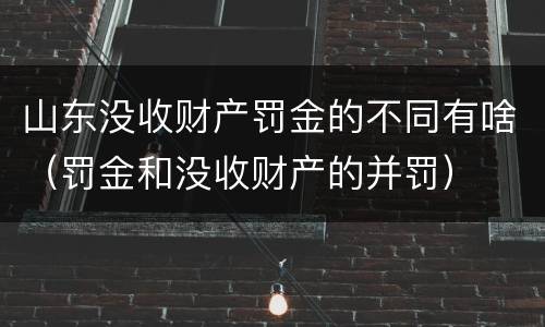 山东没收财产罚金的不同有啥（罚金和没收财产的并罚）